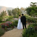Bride and groom on Garden path