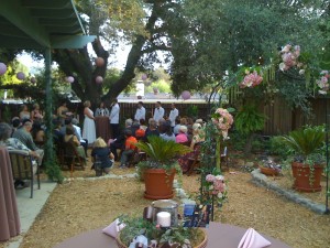 Backyard Wedding 2